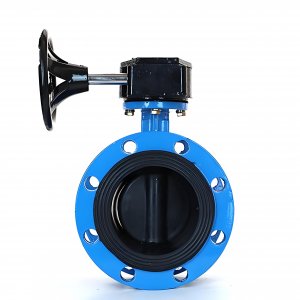 法蘭式蝸輪蝸桿蝶閥DN125，1.6Mpa橡膠密封