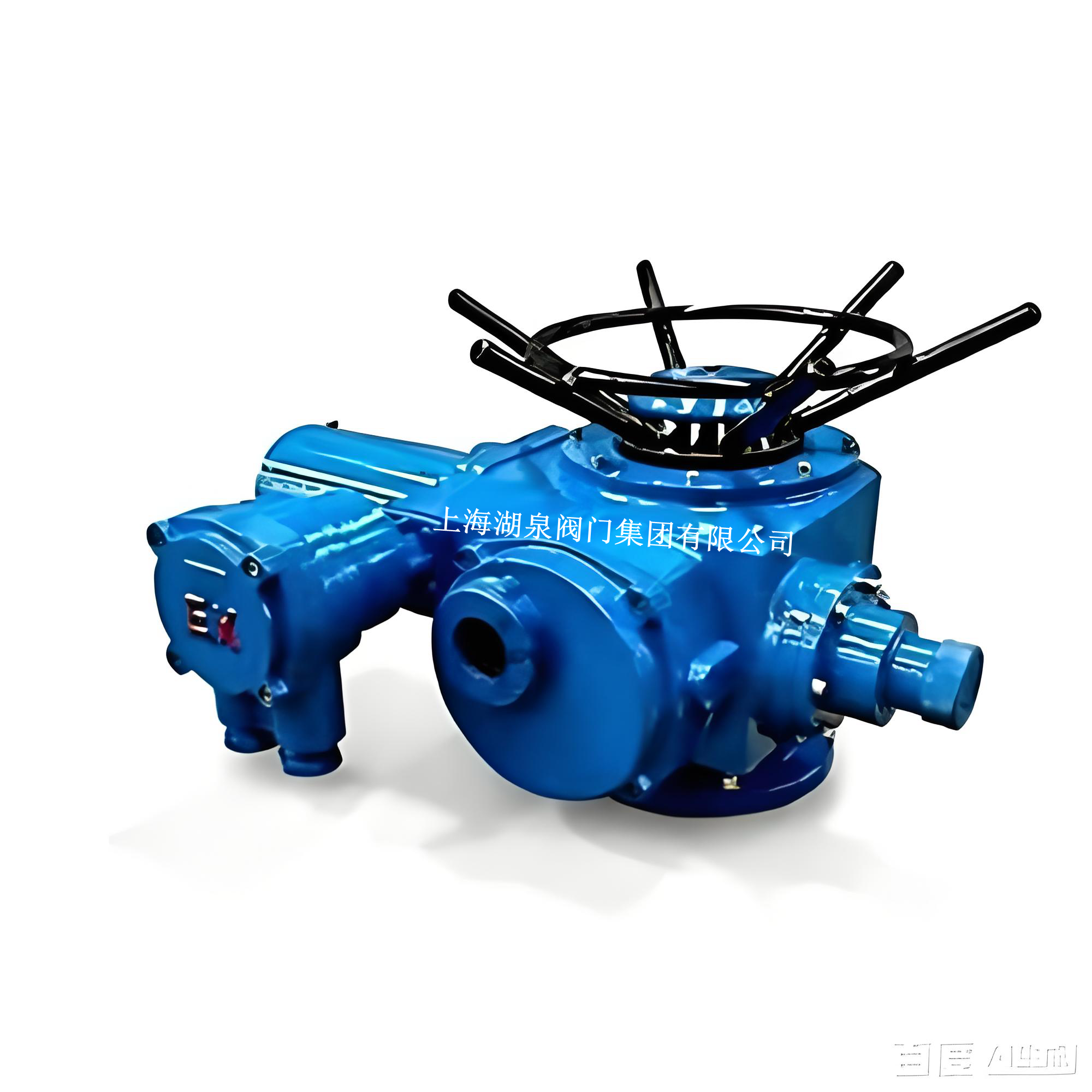 DZW120-18防爆型閥門電動裝置(電壓等級：